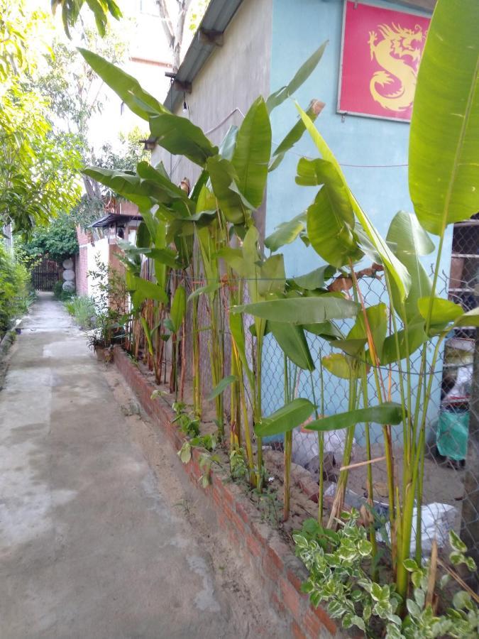 Pink Beach Homestay Hoi An Eksteriør bilde