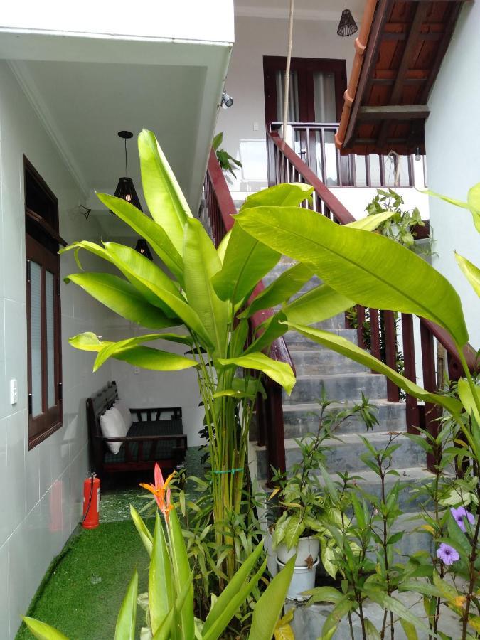 Pink Beach Homestay Hoi An Eksteriør bilde
